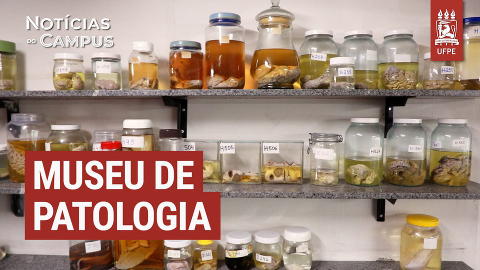 Museu de Patologia da UFPE reabre após reformas e recebe estudantes e visitas agendadas